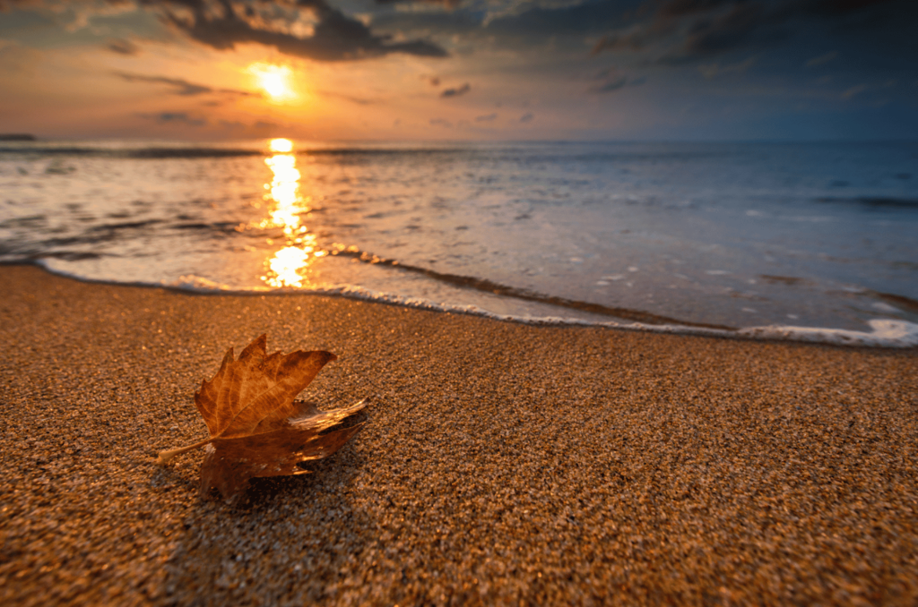 Vivi Jesolo in autunno: natura, relax e cultura in laguna